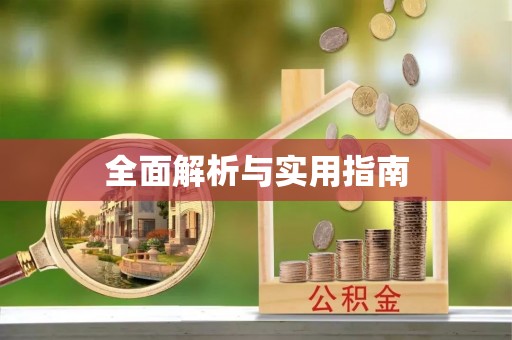小港全面解析与实用指南