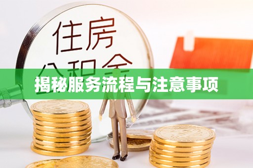 小港揭秘服务流程与注意事项