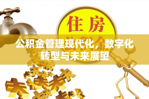小港公积金管理现代化，数字化转型与未来展望