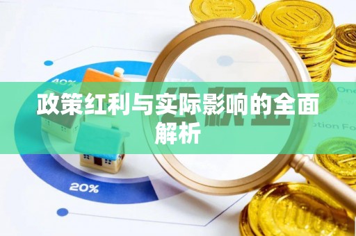 小港政策红利与实际影响的全面解析