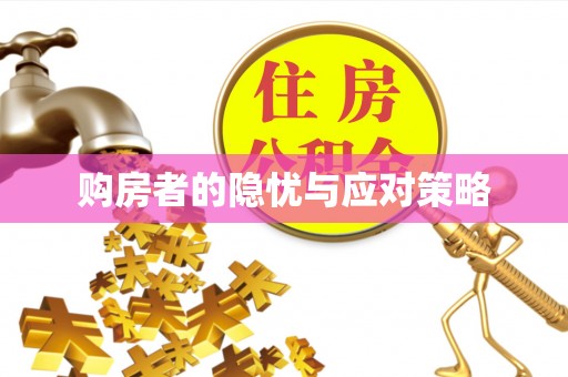 小港购房者的隐忧与应对策略