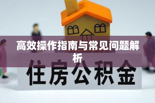 小港高效操作指南与常见问题解析