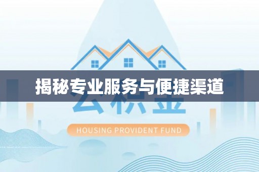 小港揭秘专业服务与便捷渠道