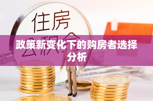 小港政策新变化下的购房者选择分析