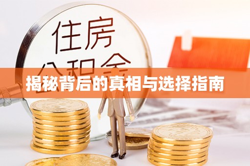 小港揭秘背后的真相与选择指南
