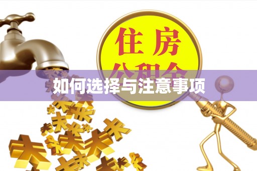 小港如何选择与注意事项