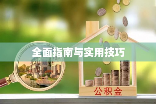 小港全面指南与实用技巧