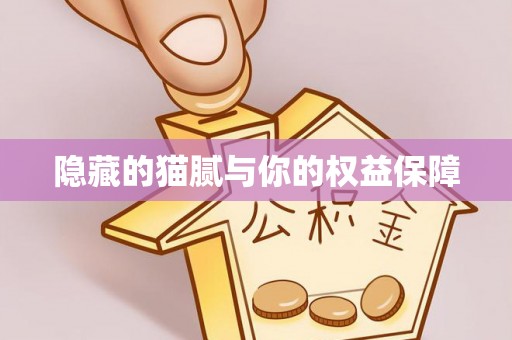 小港隐藏的猫腻与你的权益保障