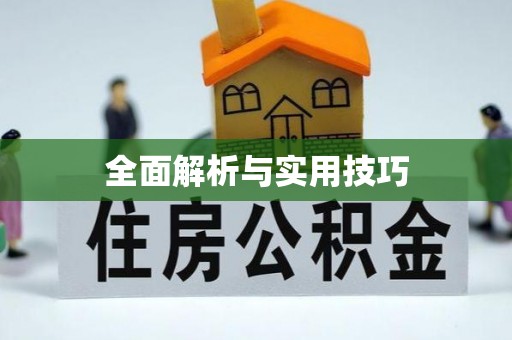 小港全面解析与实用技巧