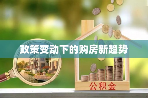 小港政策变动下的购房新趋势