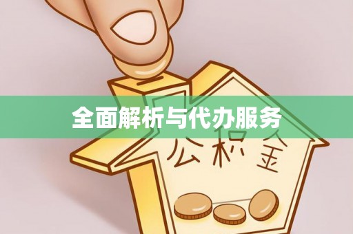 小港全面解析与代办服务