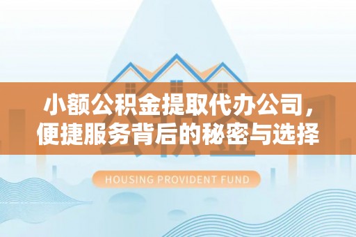 小港小额公积金提取代办公司，便捷服务背后的秘密与选择指南