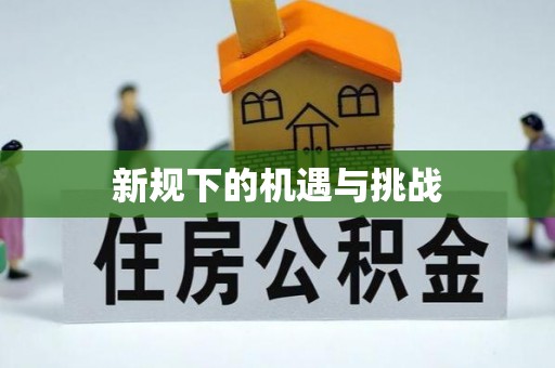 小港新规下的机遇与挑战