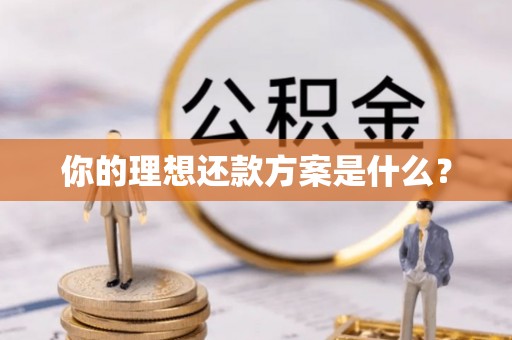 小港你的理想还款方案是什么？