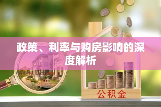 小港政策、利率与购房影响的深度解析