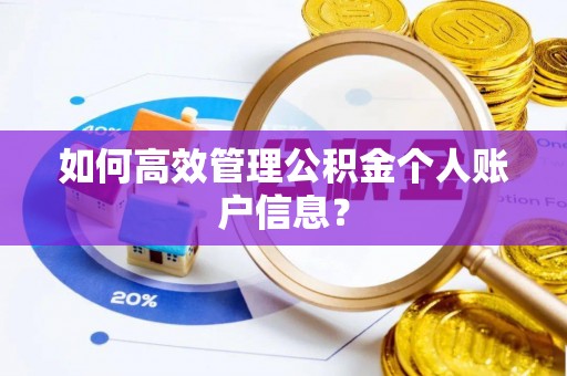 小港如何高效管理公积金个人账户信息？