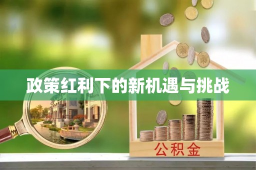 小港政策红利下的新机遇与挑战