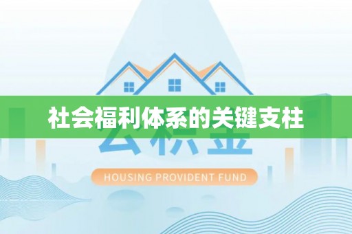小港社会福利体系的关键支柱