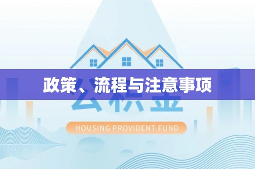 小港政策、流程与注意事项