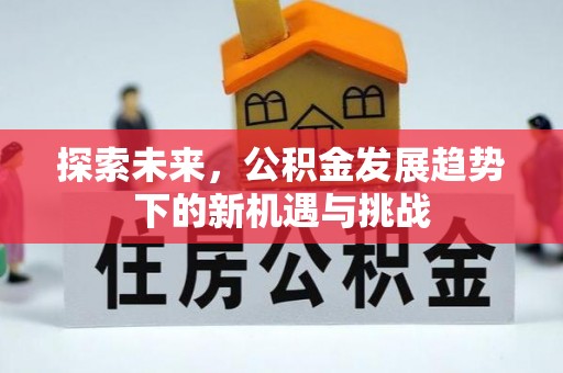 小港探索未来，公积金发展趋势下的新机遇与挑战