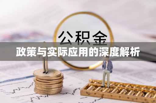 小港政策与实际应用的深度解析