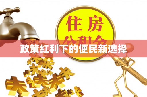 小港政策红利下的便民新选择