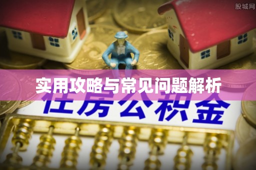 小港实用攻略与常见问题解析