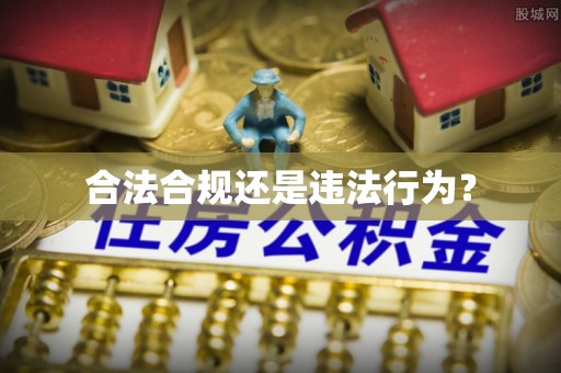 小港合法合规还是违法行为？