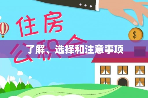 小港了解、选择和注意事项