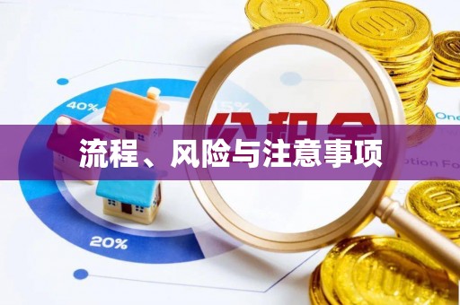 小港流程、风险与注意事项